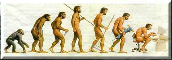 evolucion.jpg (14215 bytes)